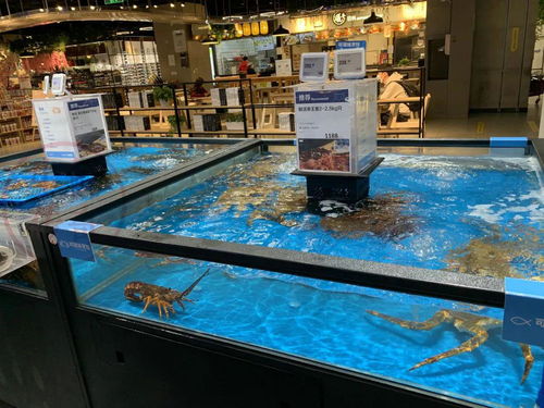 新零售下的美學革命 盒馬鮮生服裝陳列如何顛覆傳統銷售